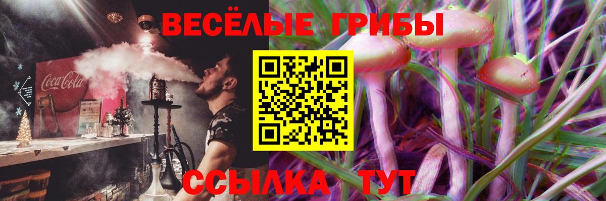 Красноармейск  Псилоцибиновые грибы Magic Shrooms  Вход с VPN 